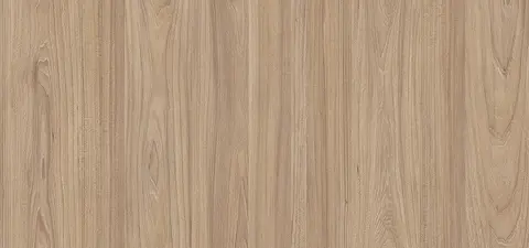 Акация равелло (AR)